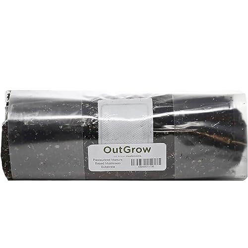 Pasteurized Manure Based Mushroom Substrate in Mushroom Grow Bag