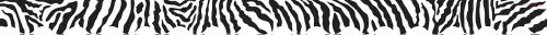 Teacher Created Resources Zebra Scalloped Border Trim, Multi Color (4214)