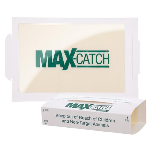 Catchmaster Max-Catch Mouse & Insect Glue Trap 72pk, Mouse Traps Indoor for Home, Sticky Pest Control Adhesive Tray for Catching Bugs, Rats & Rodents, Non Toxic Bulk Pre-Baited Glue Boards