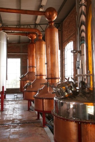 The Manufacture of Liquors and Preserves At Home