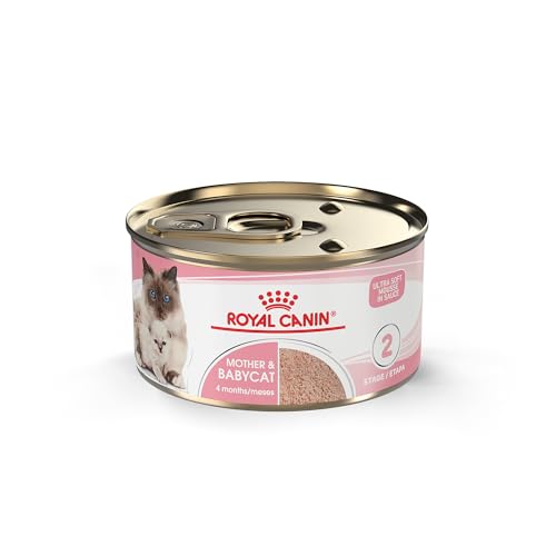 Royal Canin Feline Health Nutrition Mother & Babycat Queen Ultra Soft Mousse in Sauce Cat Food, 3 oz (Pack of 24)
