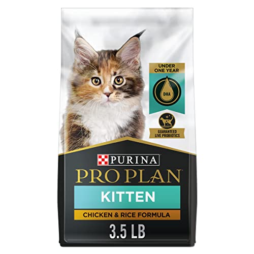 Purina Pro Plan High Protein Dry Kitten Food, FOCUS Chicken & Rice Formula - 3.5 lb. Bag