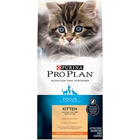 Purina Pro Plan High Protein Dry Kitten Food, FOCUS Chicken & Rice Formula - 7 lb. Bag