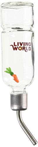 Living World Eco + Water Bottle, 6-Ounce (61580)