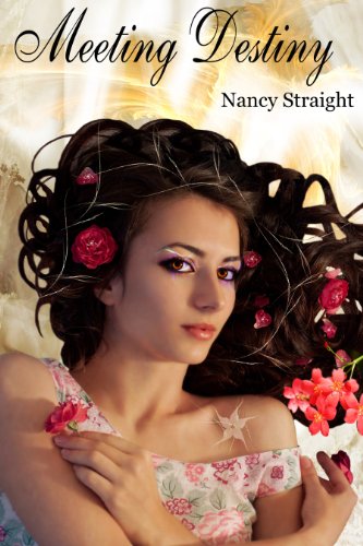 Meeting Destiny (Destiny Series Book 1)