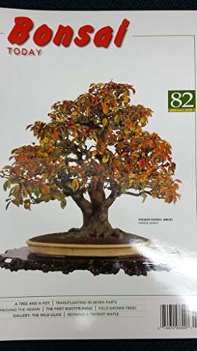 Bonsai Today (82)
