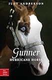 Gunner: Hurricane Horse (True Horse Stories Book 1)