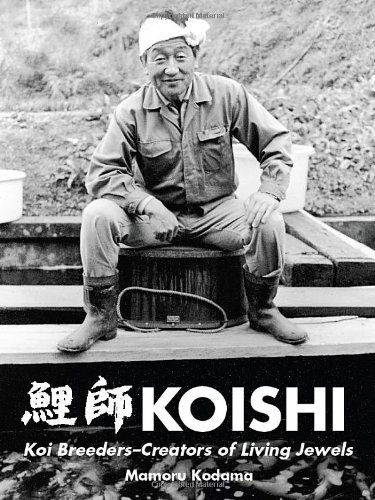 KOISHI | Koi Breeders-Creators of Living Jewels