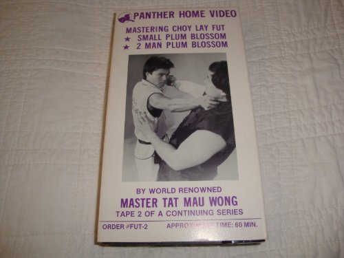 Mastering Choy Lay Fut - Small Plum Blossom - 2 Man Plum Blossom Tape 2
