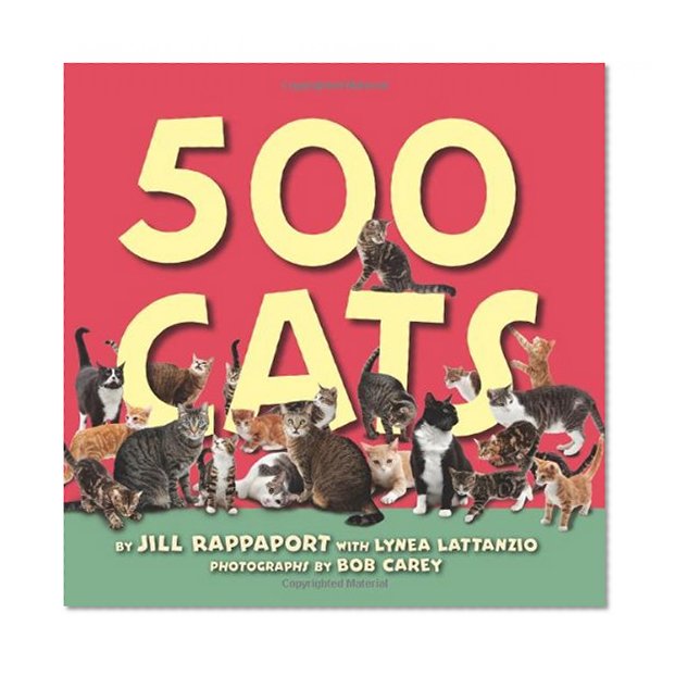 500 Cats