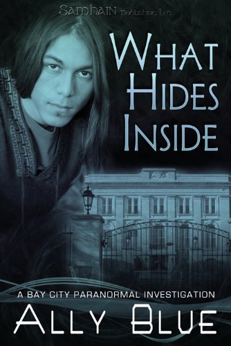 What Hides Inside: Bay City Paranormal Investigations
