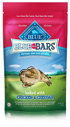 Blue Buffalo Mini Bars Chicken & Cheddar Biscuit Dog Treats 8-Oz