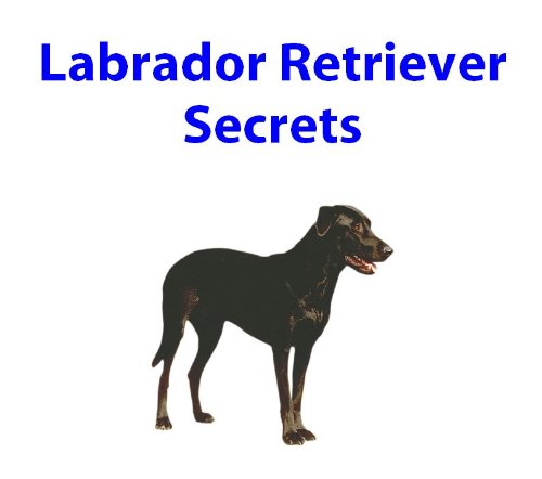 Labrador Retriever Secrets: How to Raise Happy and Healthy Labrador Retrievers