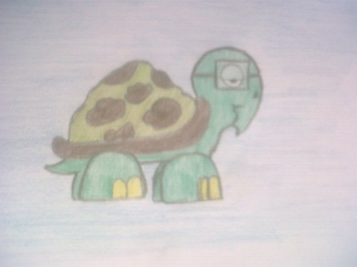 Shelly the selfless turtle saves the day