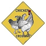 CROSSWALKS Chicken Crossing 12" X 12" Aluminum Sign (X247)
