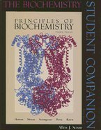 Biochemistry : Student Companion to Accompany Horton Principles of Biochemistry 4TH EDITION
