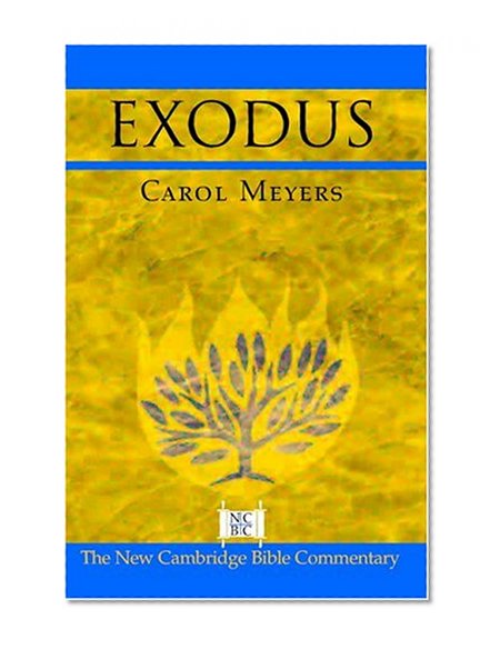 Exodus (New Cambridge Bible Commentary)
