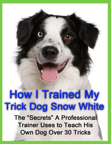 How I Trained My Trick Dog Snow White - Dog Trick Training