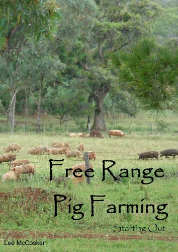 Free Range Pig Farming - Starting Out
