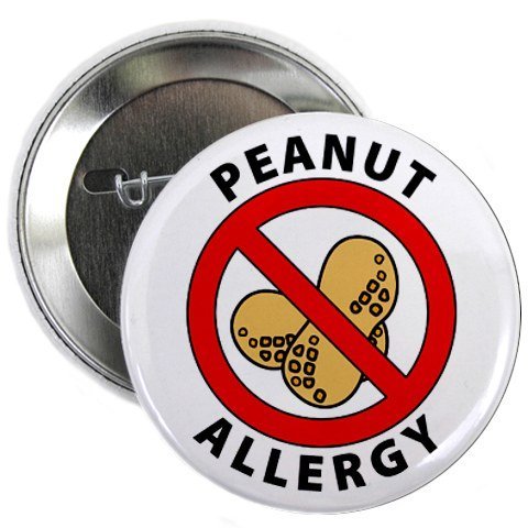 PEANUT ALLERGY Medical Alert 2.25 inch Pinback Button Badge