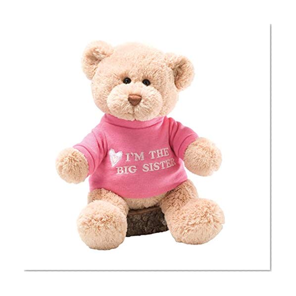 Book Cover GUND I'm the Big Sister T-Shirt Teddy Bear Stuffed Animal Plush, Pink, 12”