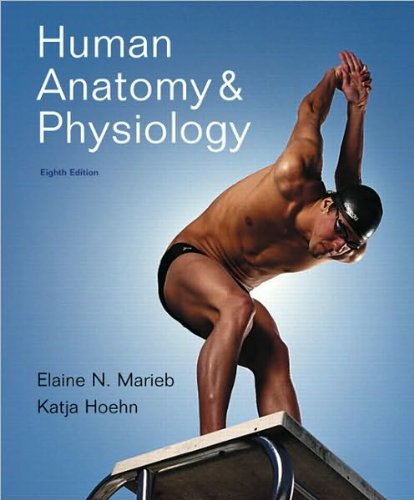 Human Anatomy & Physiology (text only) 8th (Eighth) edition by E.N. Marieb,K. N Hoehn