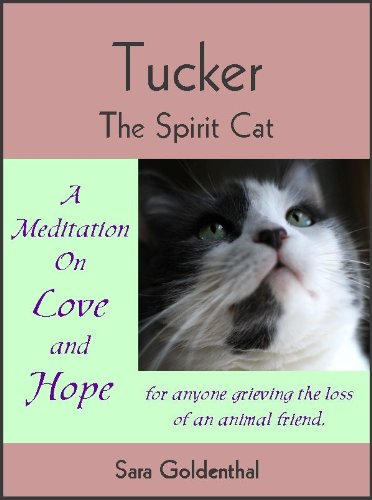 Tucker the Spirit Cat: a Meditation on Love and Hope for Anyone Grieving the Loss of an Animal Friend