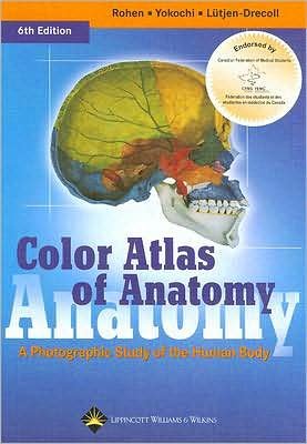 Color Atlas of Anatomy (text only) 6th (Sixth) edition by J. W. Rohen,C. Yokochi,E. LÃ¼tjen-Drecoll