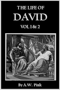 The Life of David Vol1&2