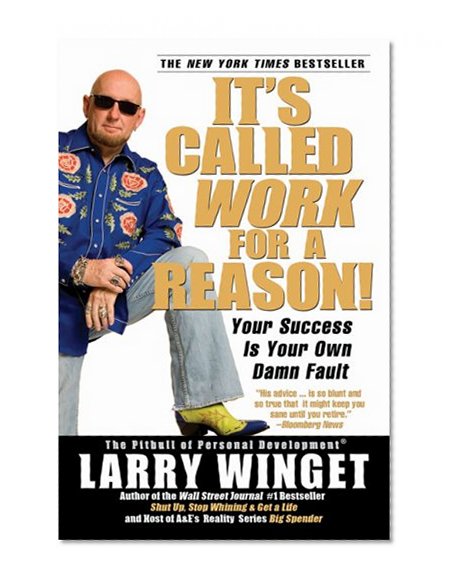 It's Called Work for a Reason!: Your Success Is Your Own Damn Fault