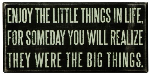 Book Cover Primitives by Kathy Classic Box Sign, 8 x 4-Inches, Enjoy The Little Things