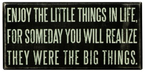 Primitives by Kathy Classic Box Sign, 8 x 4-Inches, Enjoy The Little Things