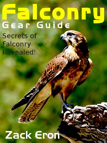 Falconry Gear Guide - Secrets of Falconry Revealed
