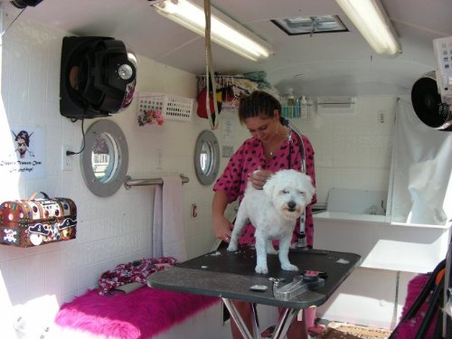 Mobile Dog Cat Pet Groomer Grooming Service Start Up Sample Business Plan!