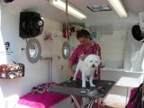 Mobile Dog Cat Pet Groomer Grooming Service Start Up Sample Business Plan!