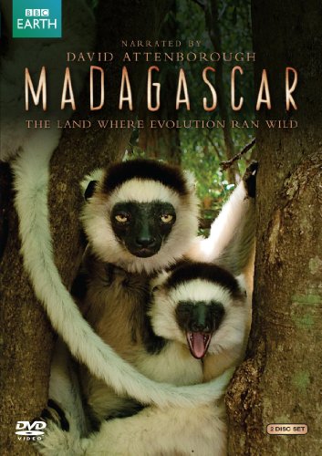 Madagascar (2011)