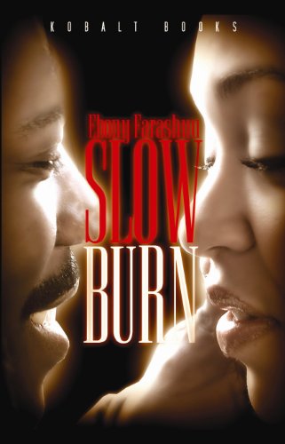 Slow Burn (African American Romance, Love Story)
