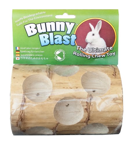 Book Cover Bunny Blast Yucca Chew Toy