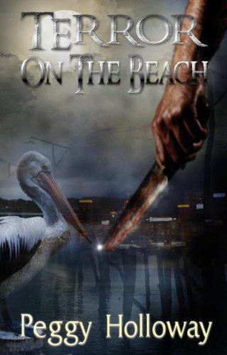 Terror on the Beach (The Judith McCain Series Book 3)