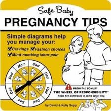 Safe Baby Pregnancy Tips Publisher: Running Press; Edition Unstated edition