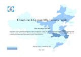 China Lime & Gypsum Mfg. Industry Profile - CIC3112