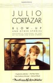 Blow-Up 1st (first) edition Text Only