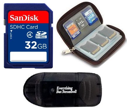 Book Cover 32GB SD/SDHC Class 4 Memory Card (Bonus Pack - Includes Everything But Stromboli (tm) Reader and Memory Card Wallet) for Nikon Coolpix Camera D3000 D300S D40 D40X D5000 D60 D80 D90 L10 L100 L11 L12 L14 L15 L16 L18 L19 L20 P50 P5000 P5100 P60 P60