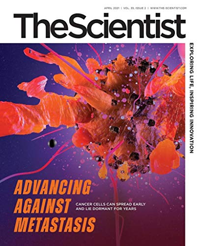 Book Cover The Scientist