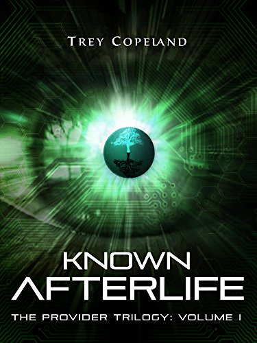 Known Afterlife (The Provider Trilogy Book 1)