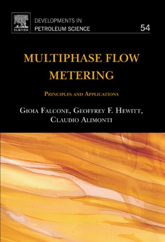Multiphase Flow Metering: Principles and Applications: 54 (Developments in Petroleum Science)