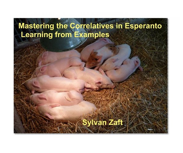 Mastering the Correlatives in Esperanto: Learning from Examples