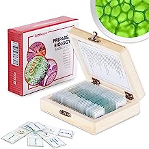 Book Cover AmScope PS25 Prepared Microscope Slide Set for Basic Biological Science Education, 25 Slides, Includes Fitted Wooden Case