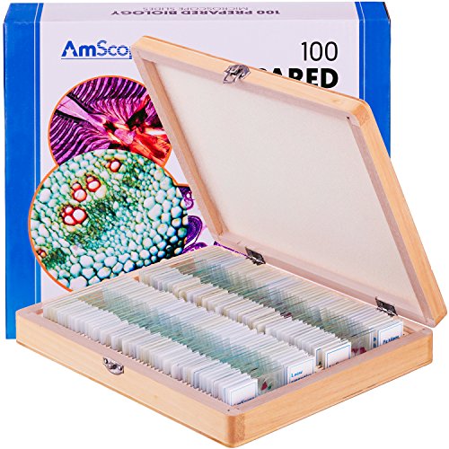 Book Cover AmScope 100 PC Prepared Biological Microscope Glass Slides - Set A