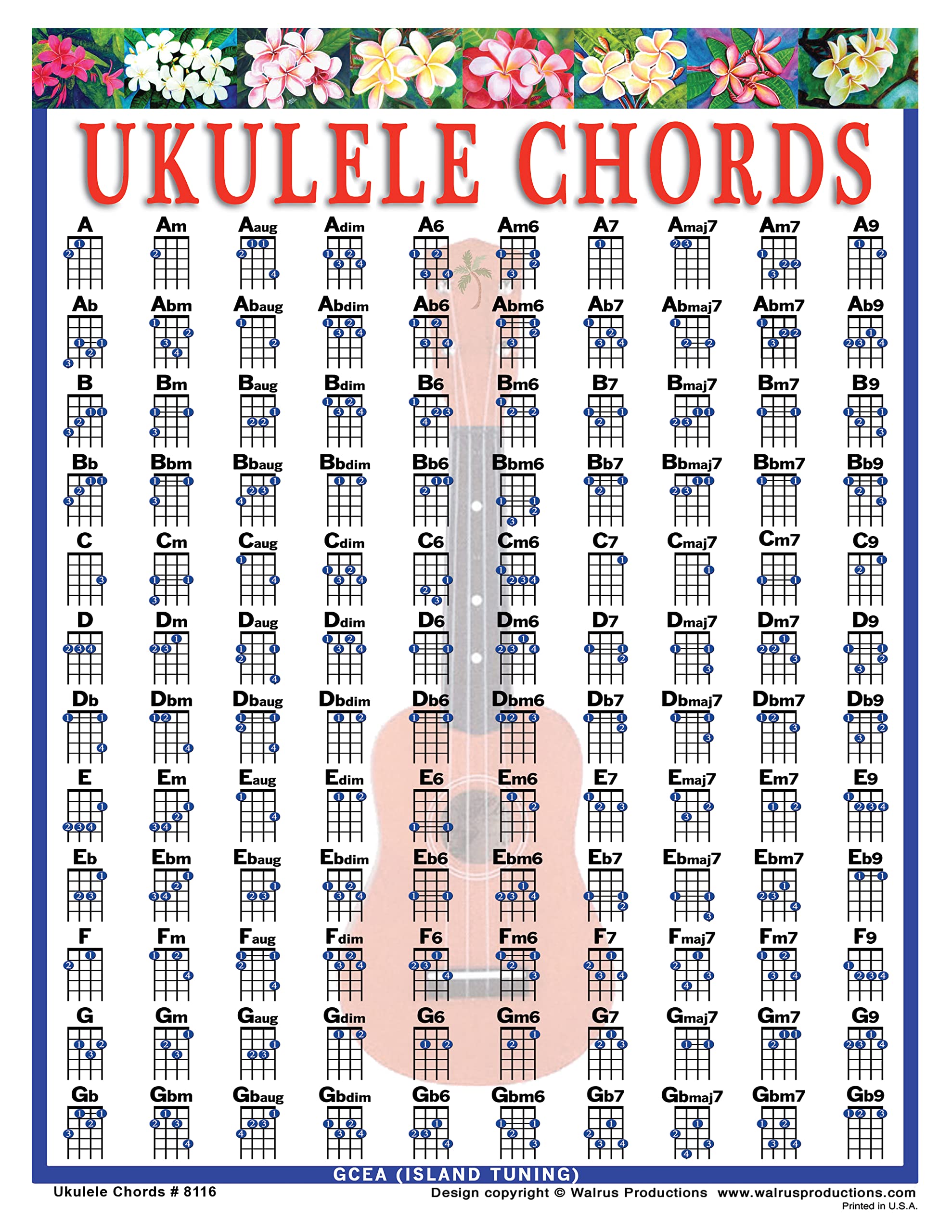 Book Cover Laminated Ukulele Chord Chart